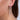 Element Chandelier Earrings