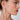 ADER1-1web-1.jpg